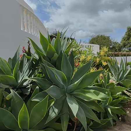 1 Alegria Bed & Breakfast